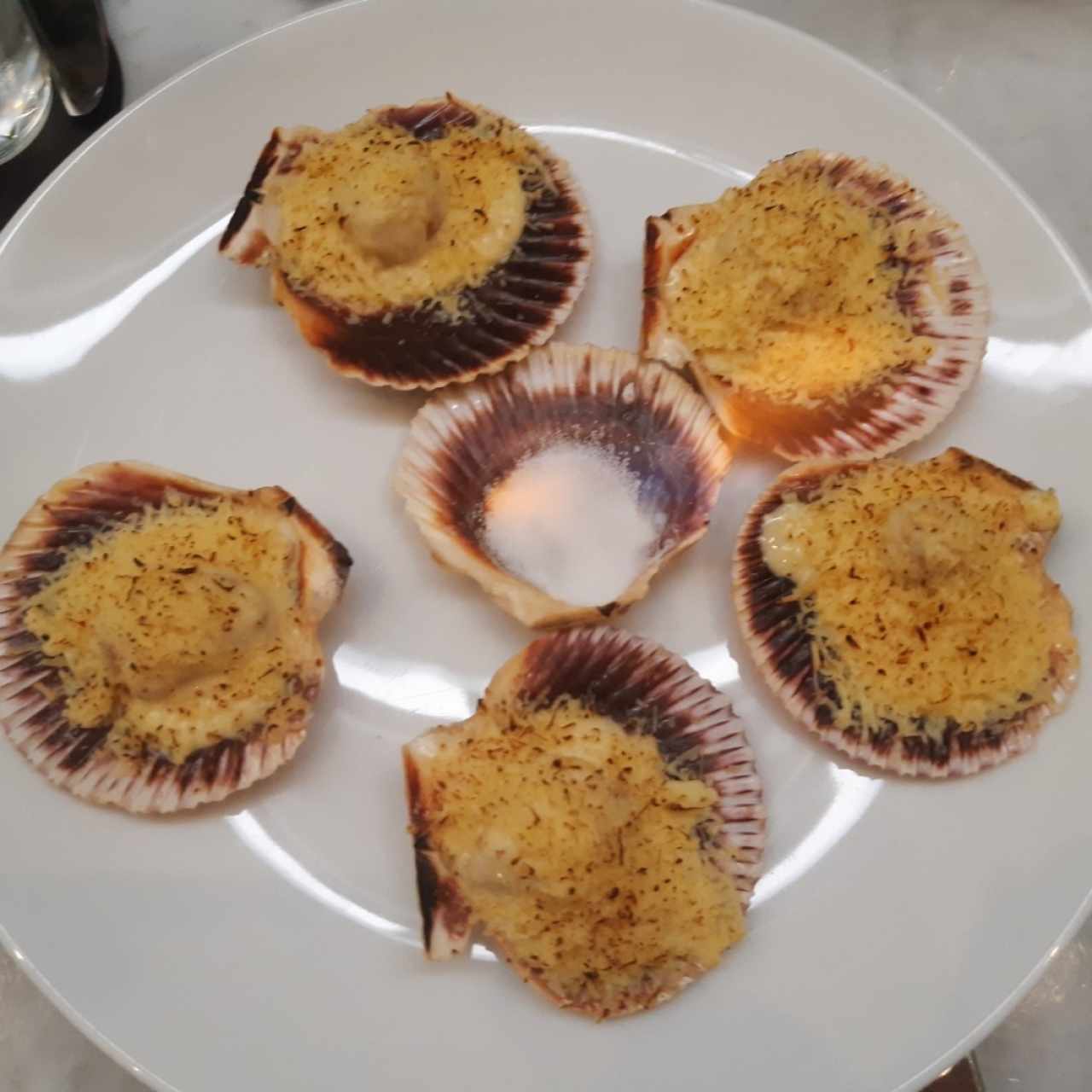 Vieiras Gratinadas 