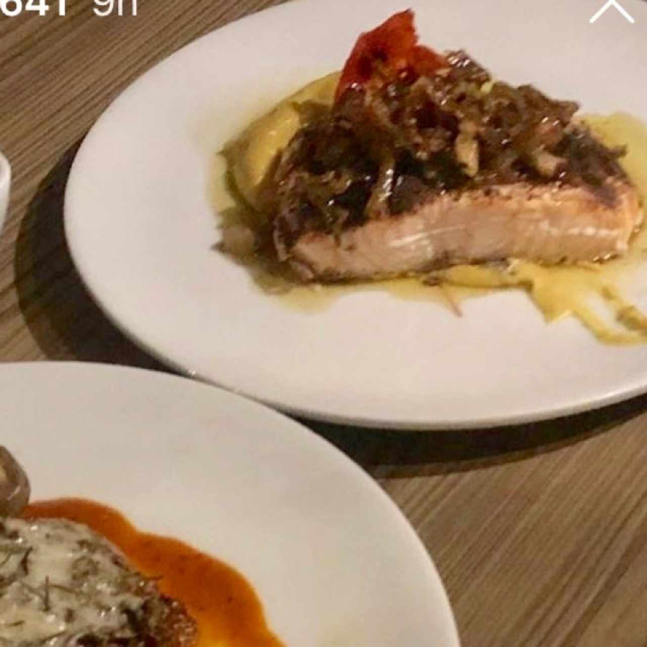 salmon