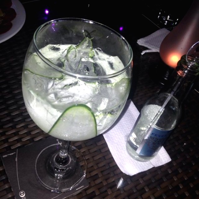 Hendricks and Mediterranean Tonic