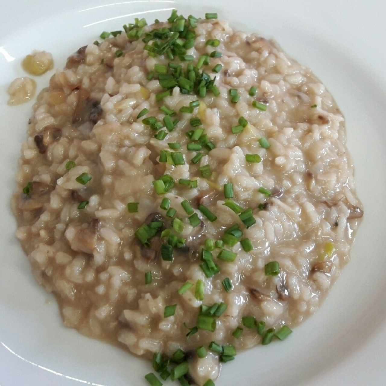 rissoto de champiñon