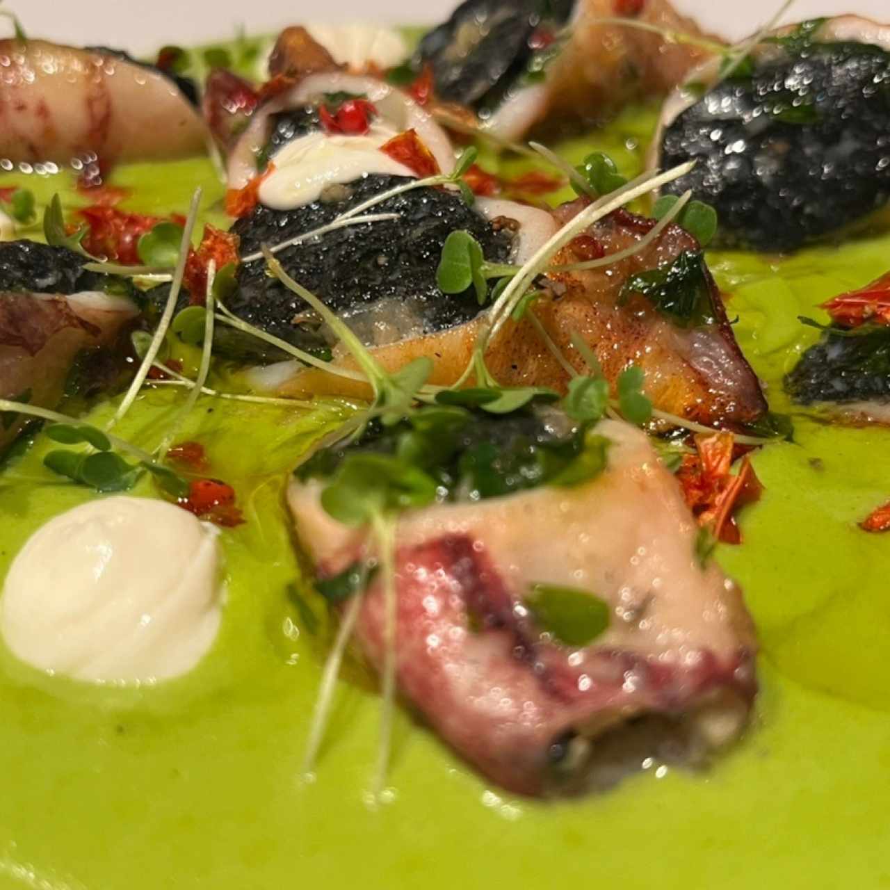 Pulpo