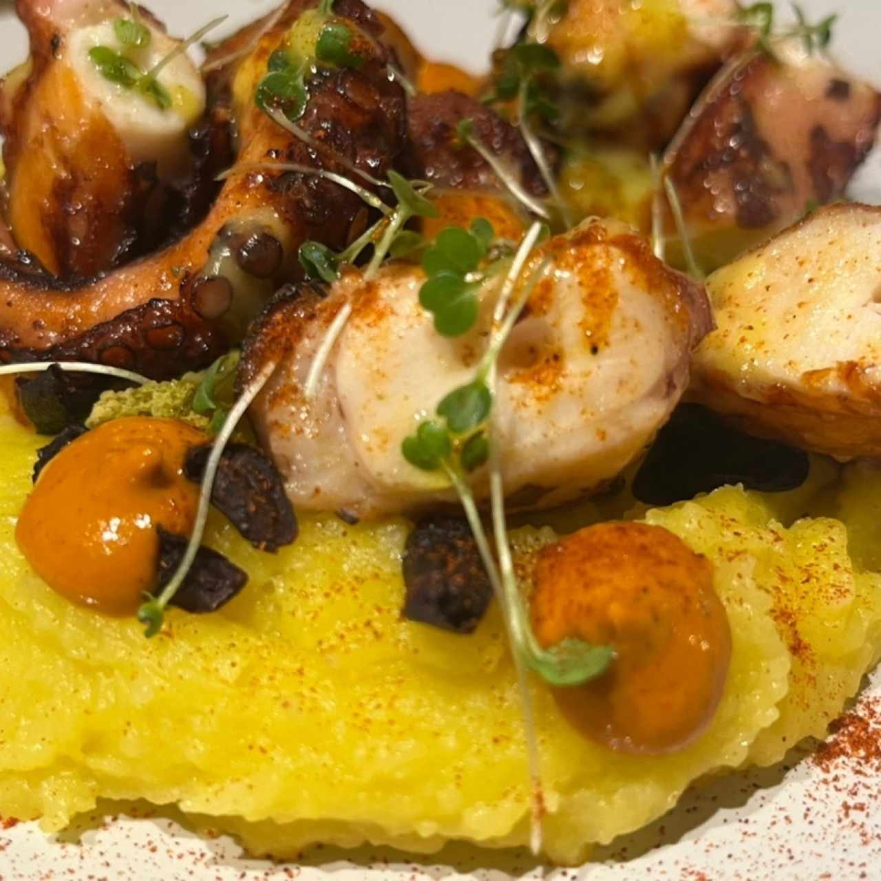 Pulpo