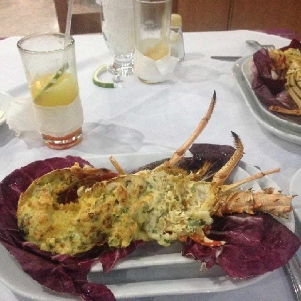 langosta deliciosa 