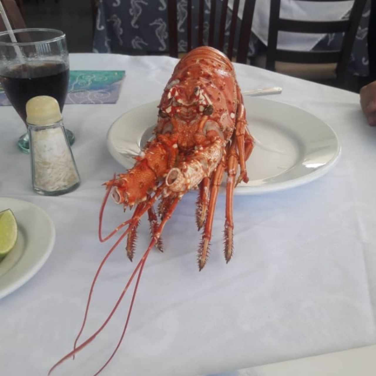Langosta