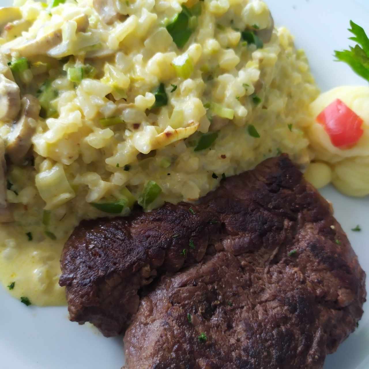 Rissotto de champiñones con lomito