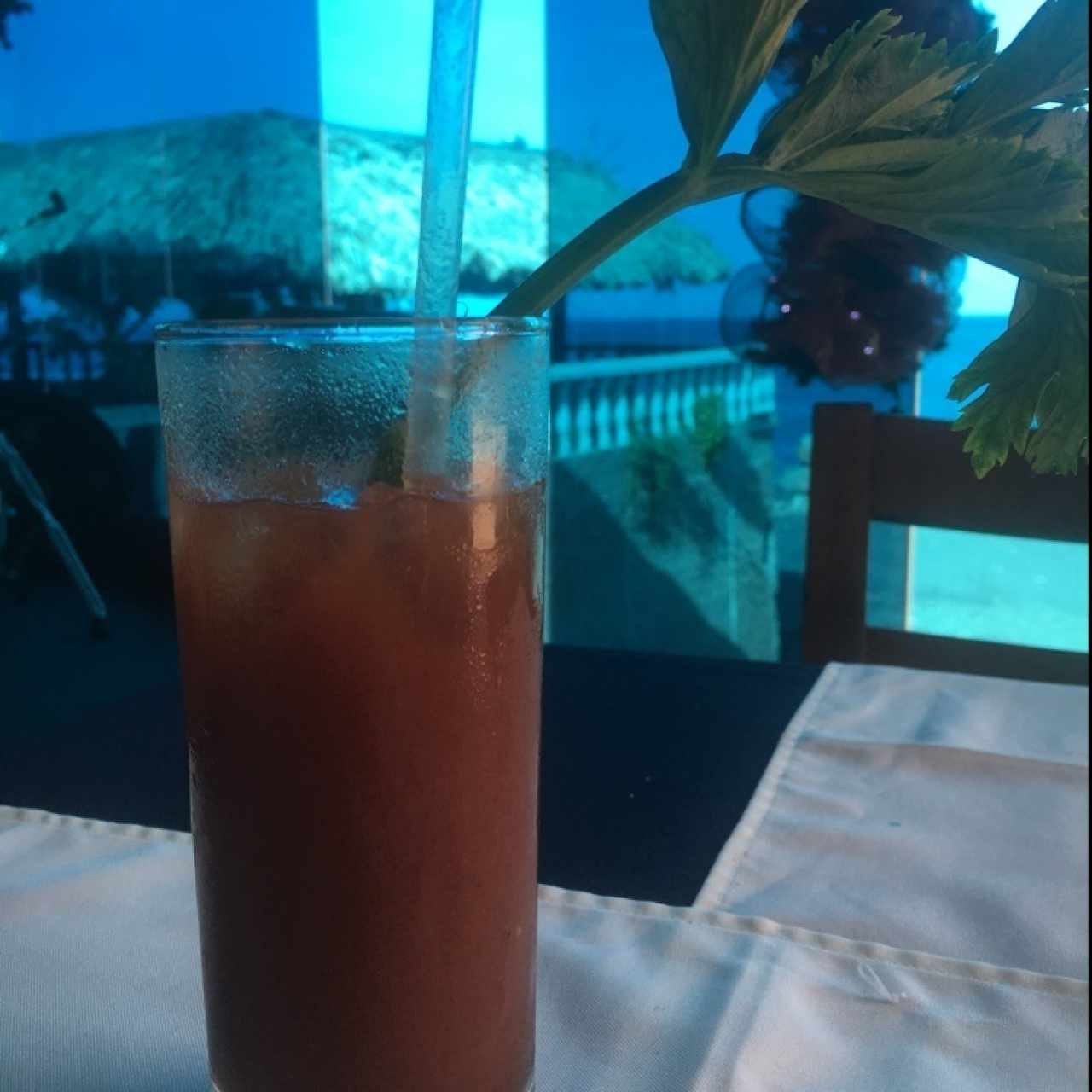 bloody mary