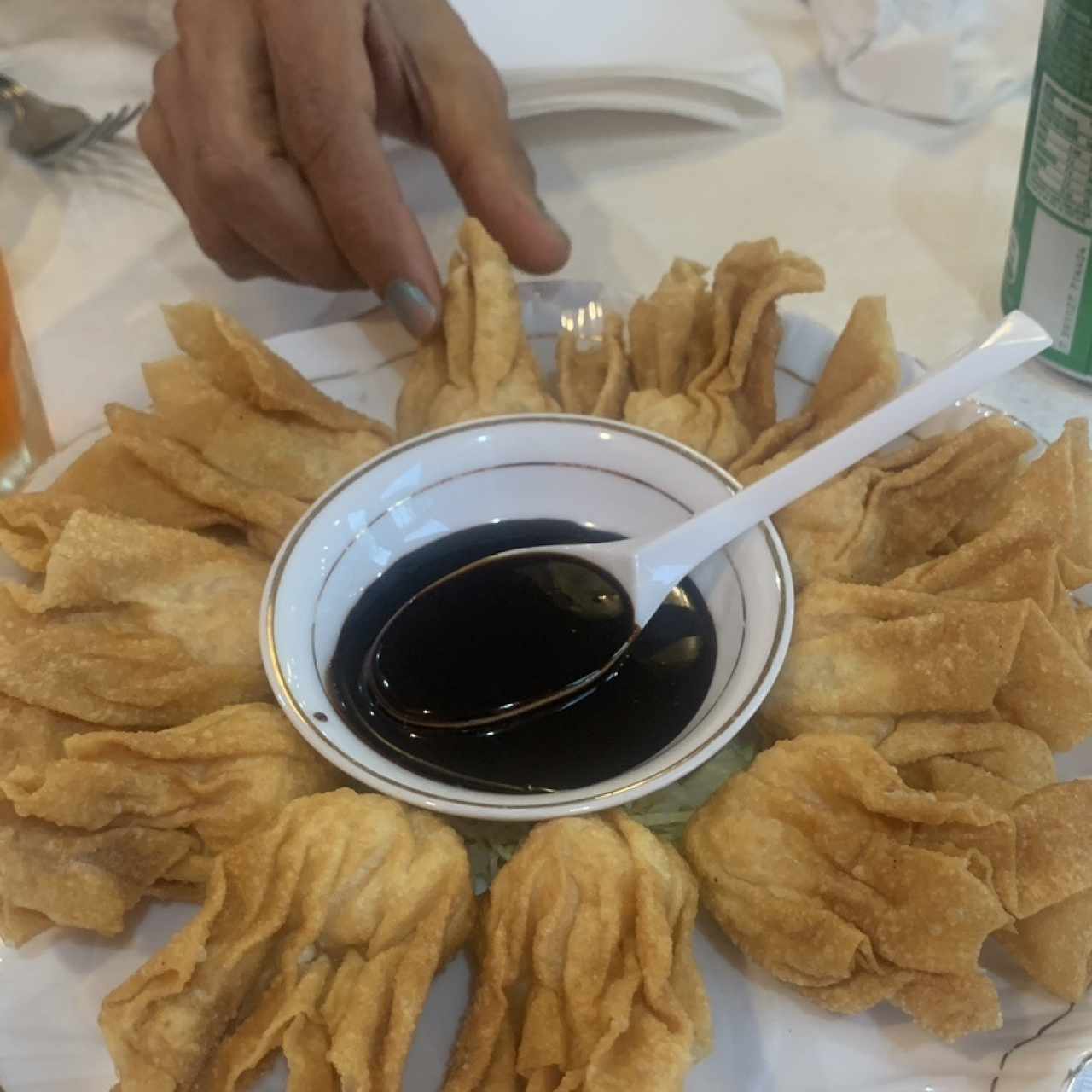Wanton relleno 
