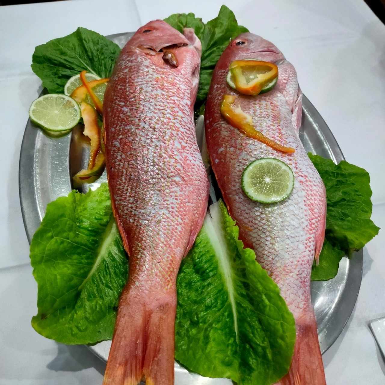 Muestra de este par para hacerlo en filete a la marinera. Será para una próxima. Sólo disfrutamos de la sopa.