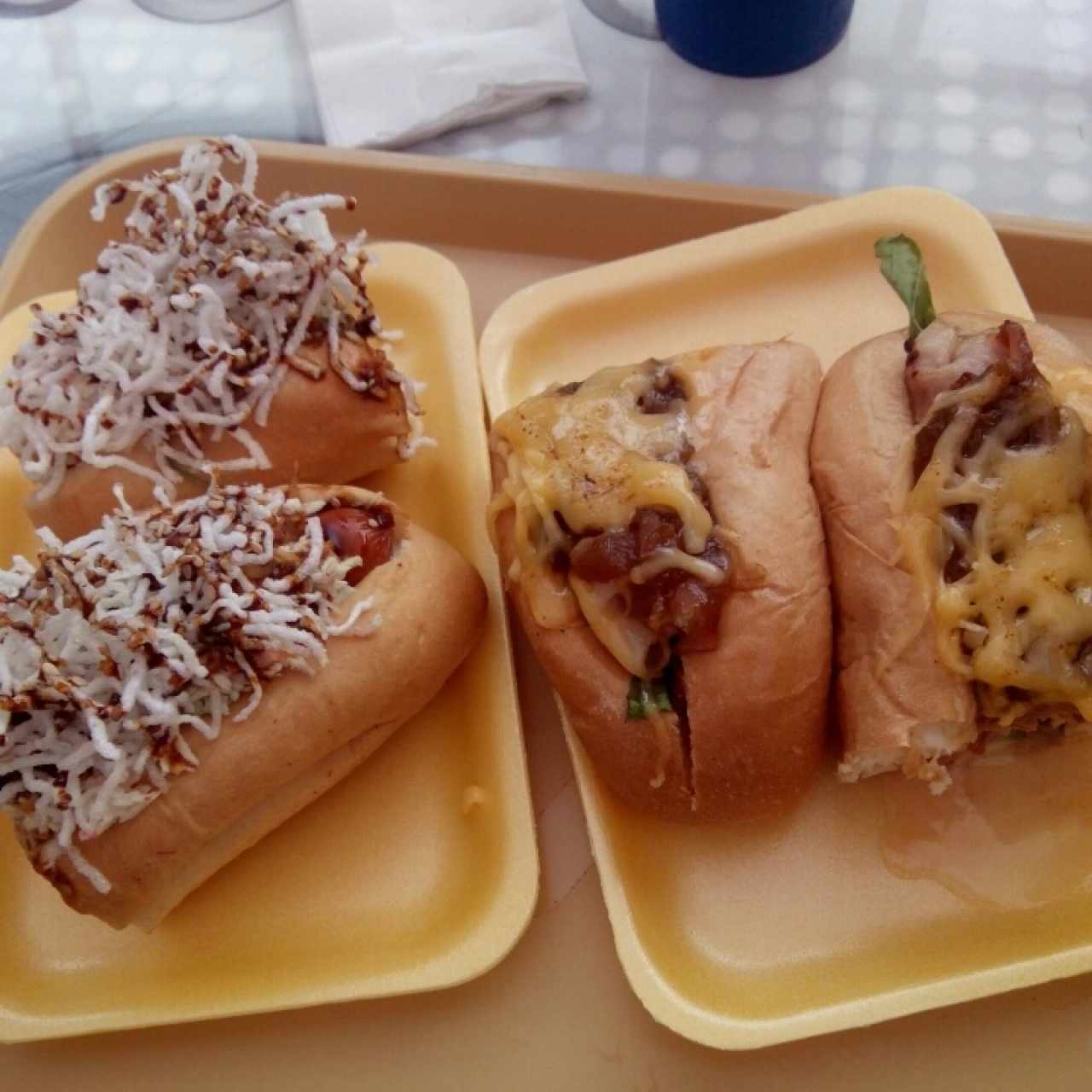 JapanDog 