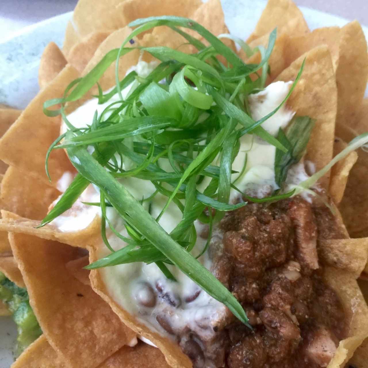 Nachos mixtos 