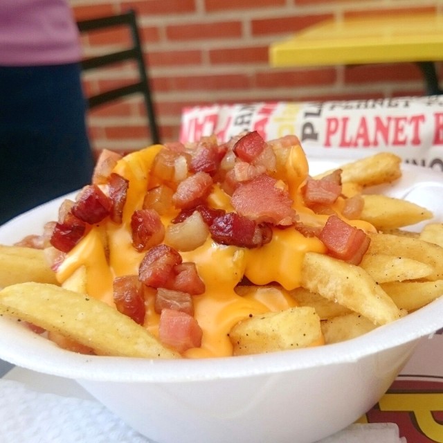Cheddar Tocineta