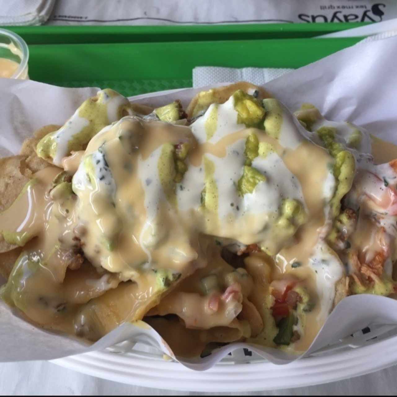Nachos de Carne y Pollo