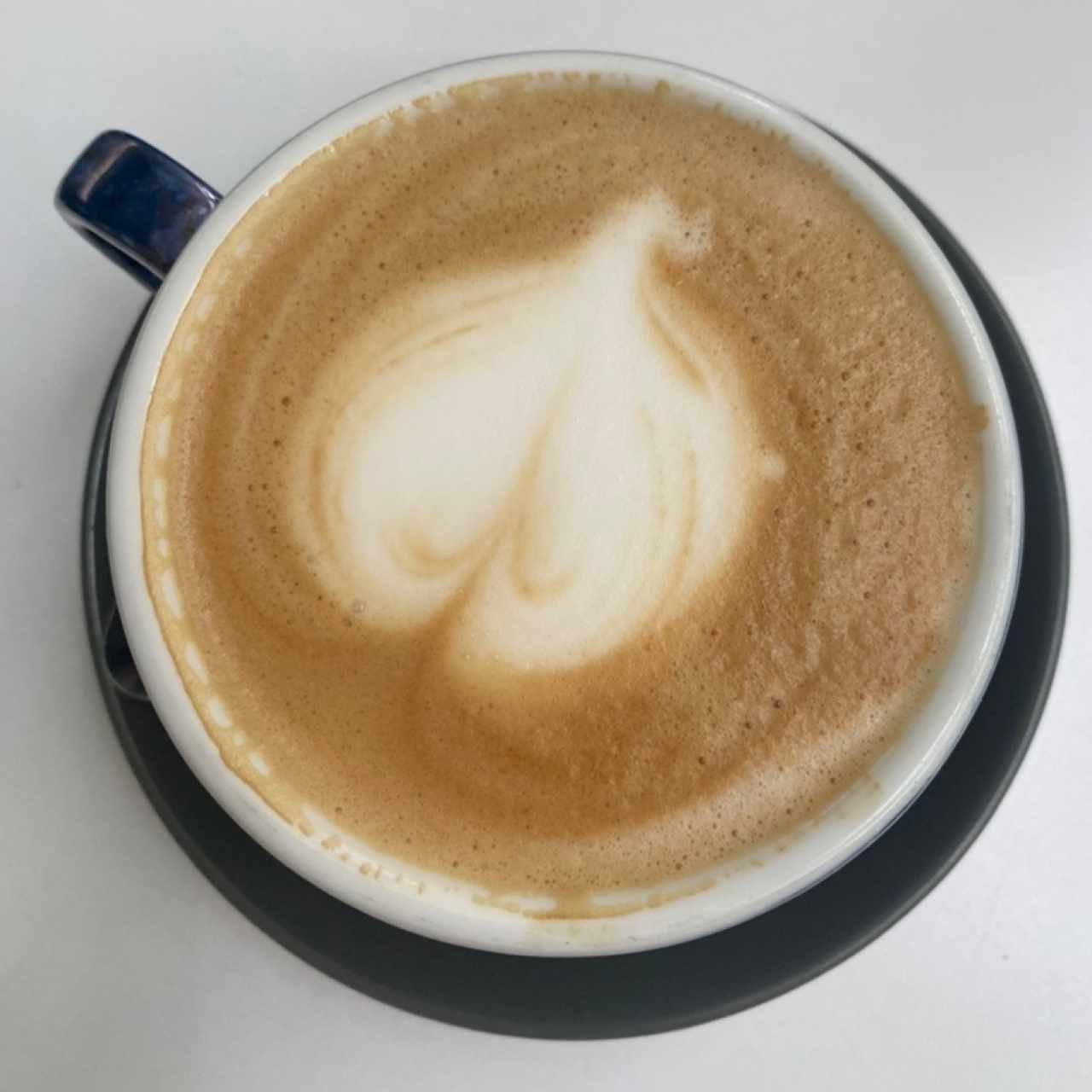 Cafe marron de la promoción 