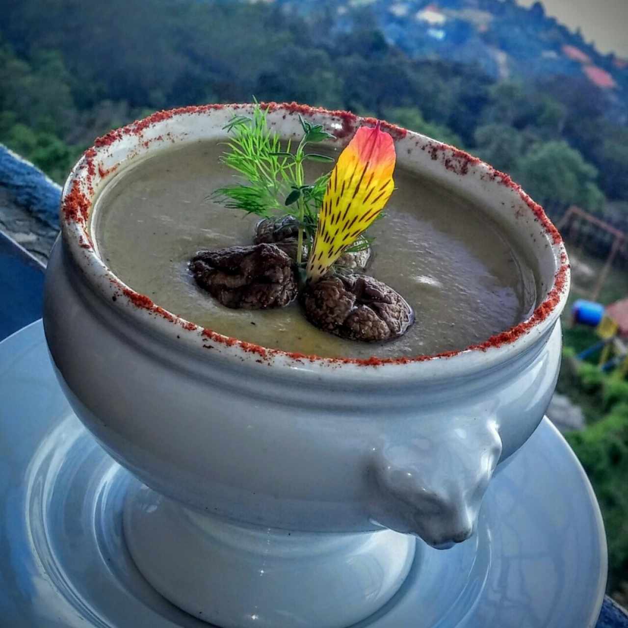crema de hongos 