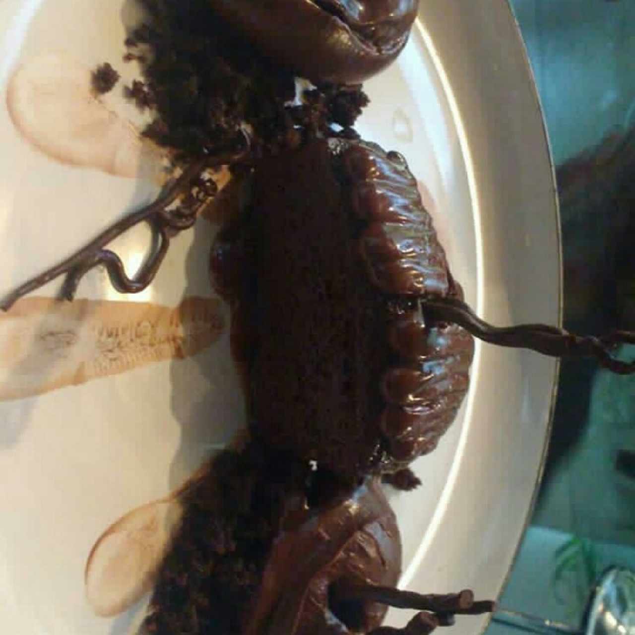 chocolate chocolate chocolate