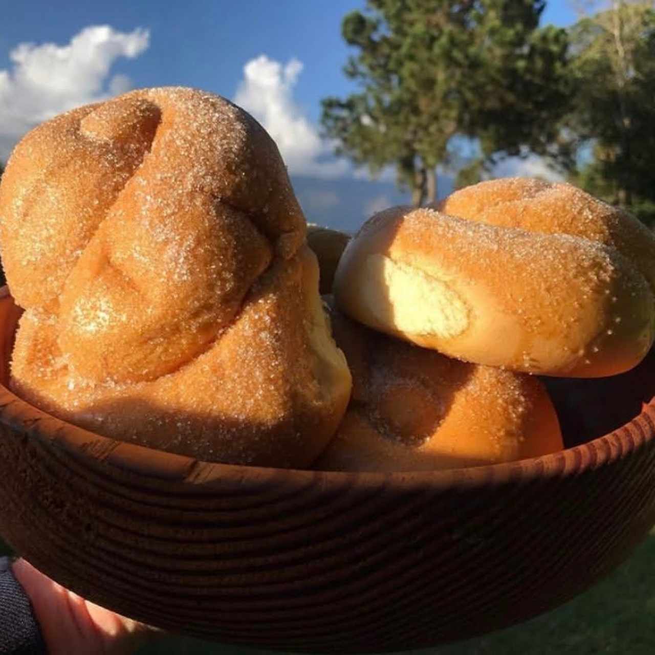 Pan Dulce