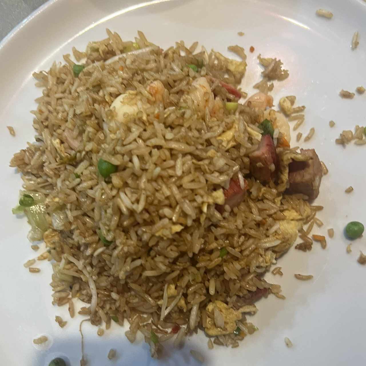 Arroz frito especial
