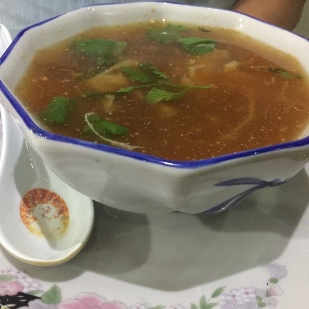 sopa picante 