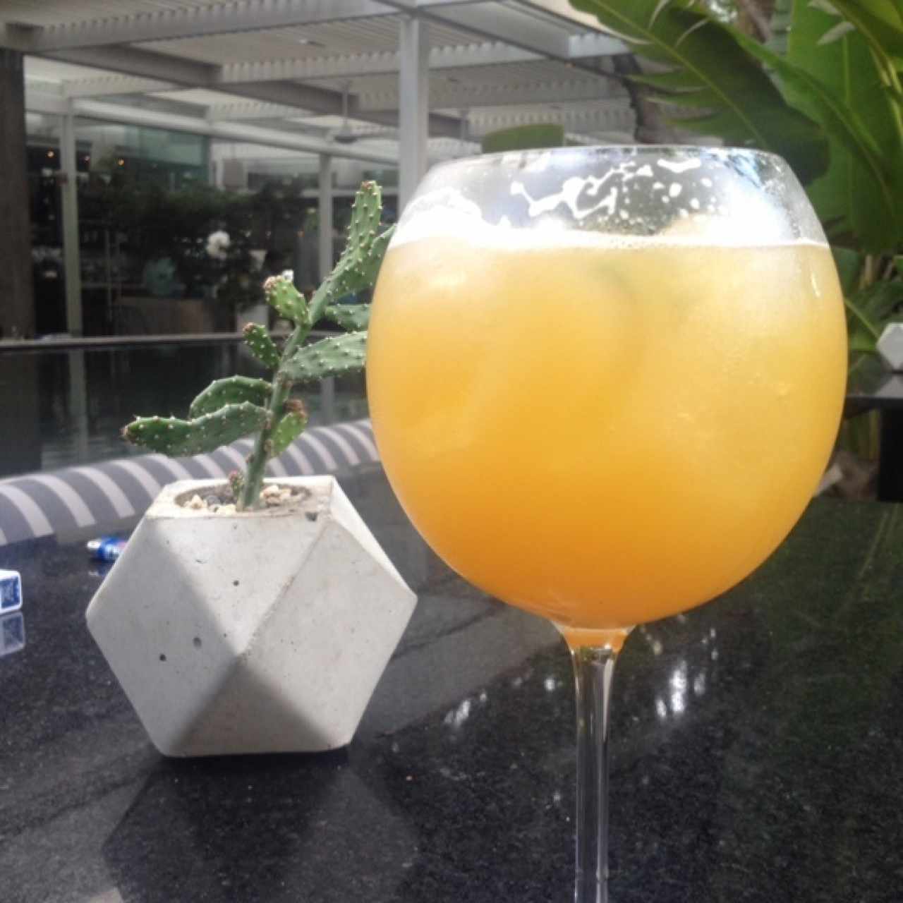 Té de Jengibre