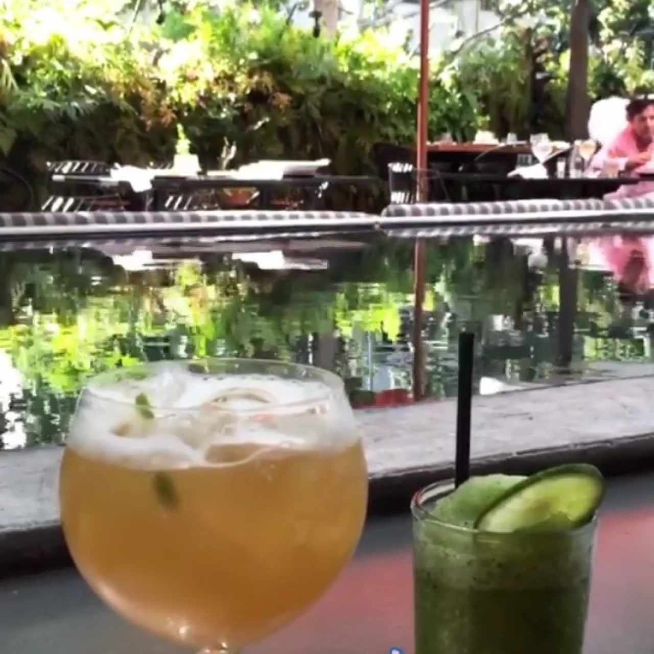 Té de Jengibre 