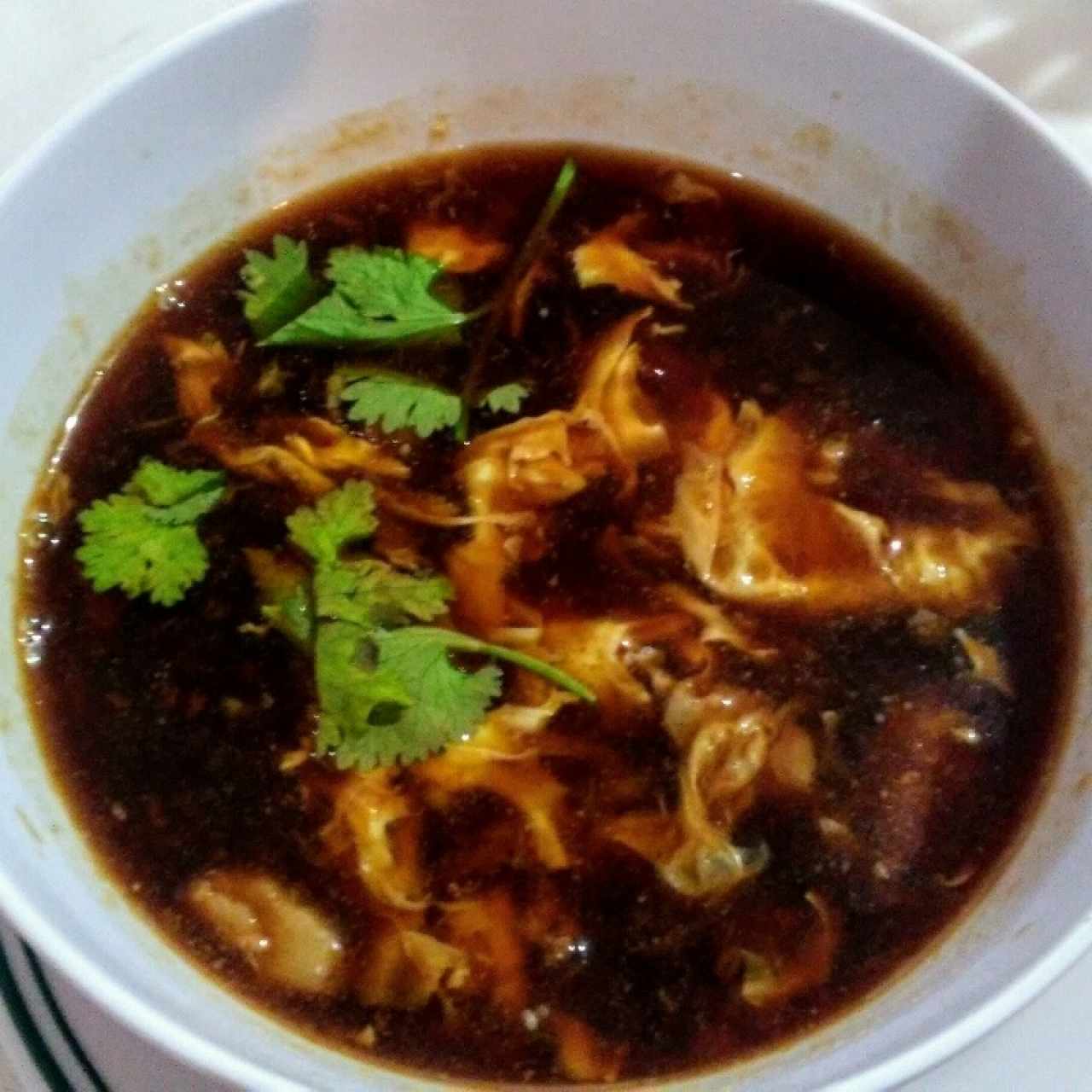 Sopa Agripicante con Cerdo