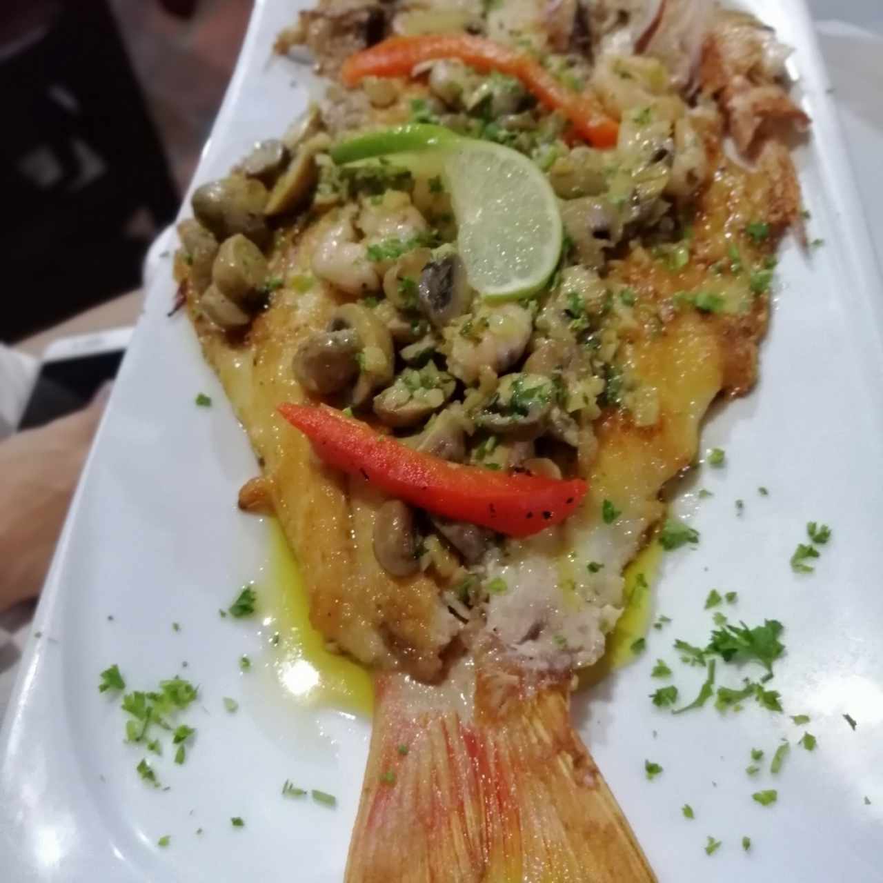 parguito