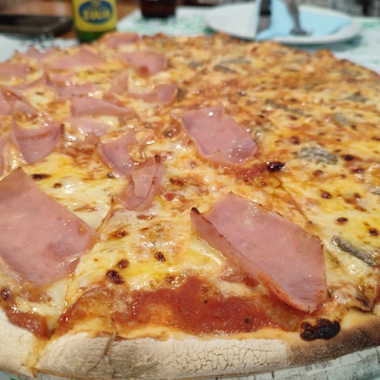 Mixta 