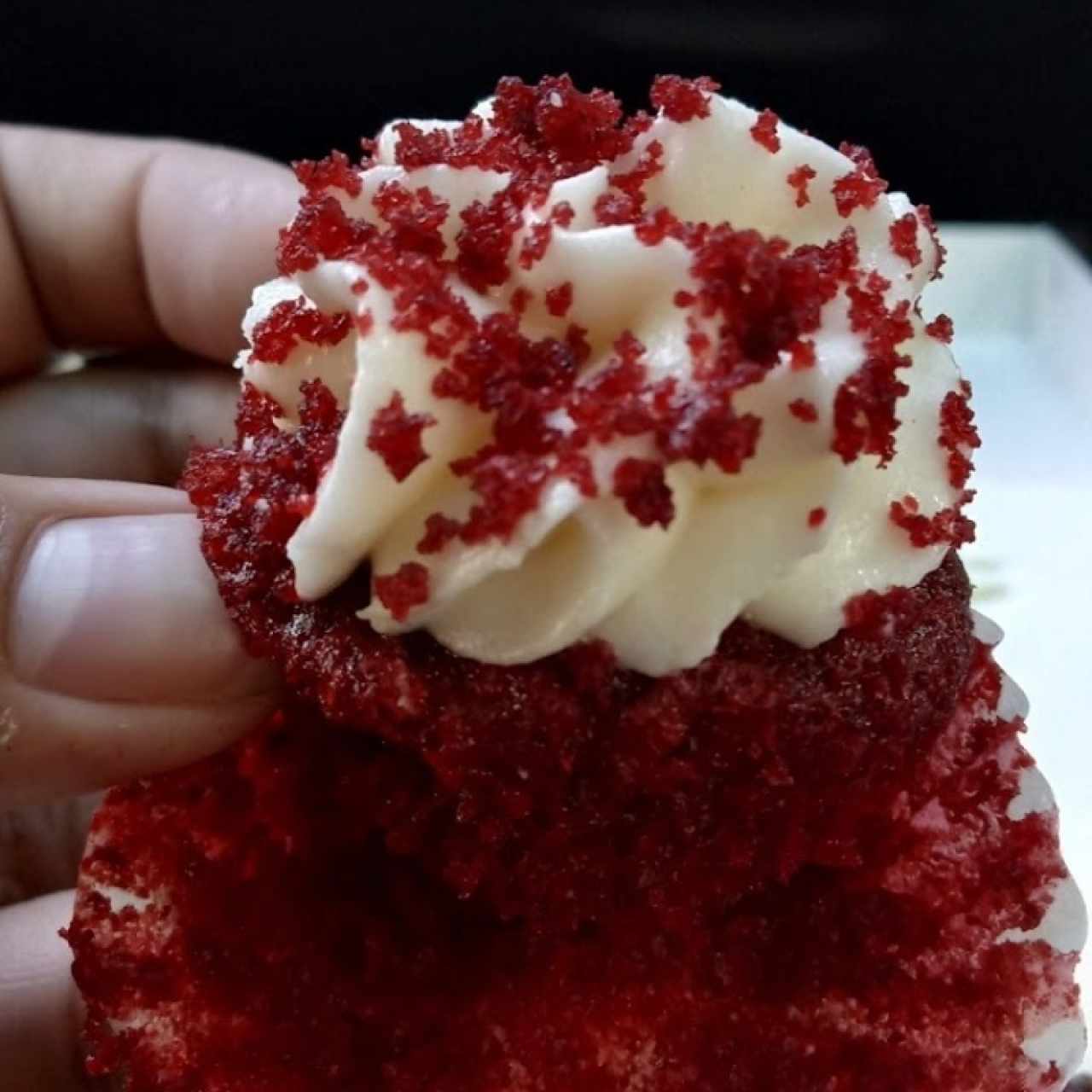 EXQUISITO