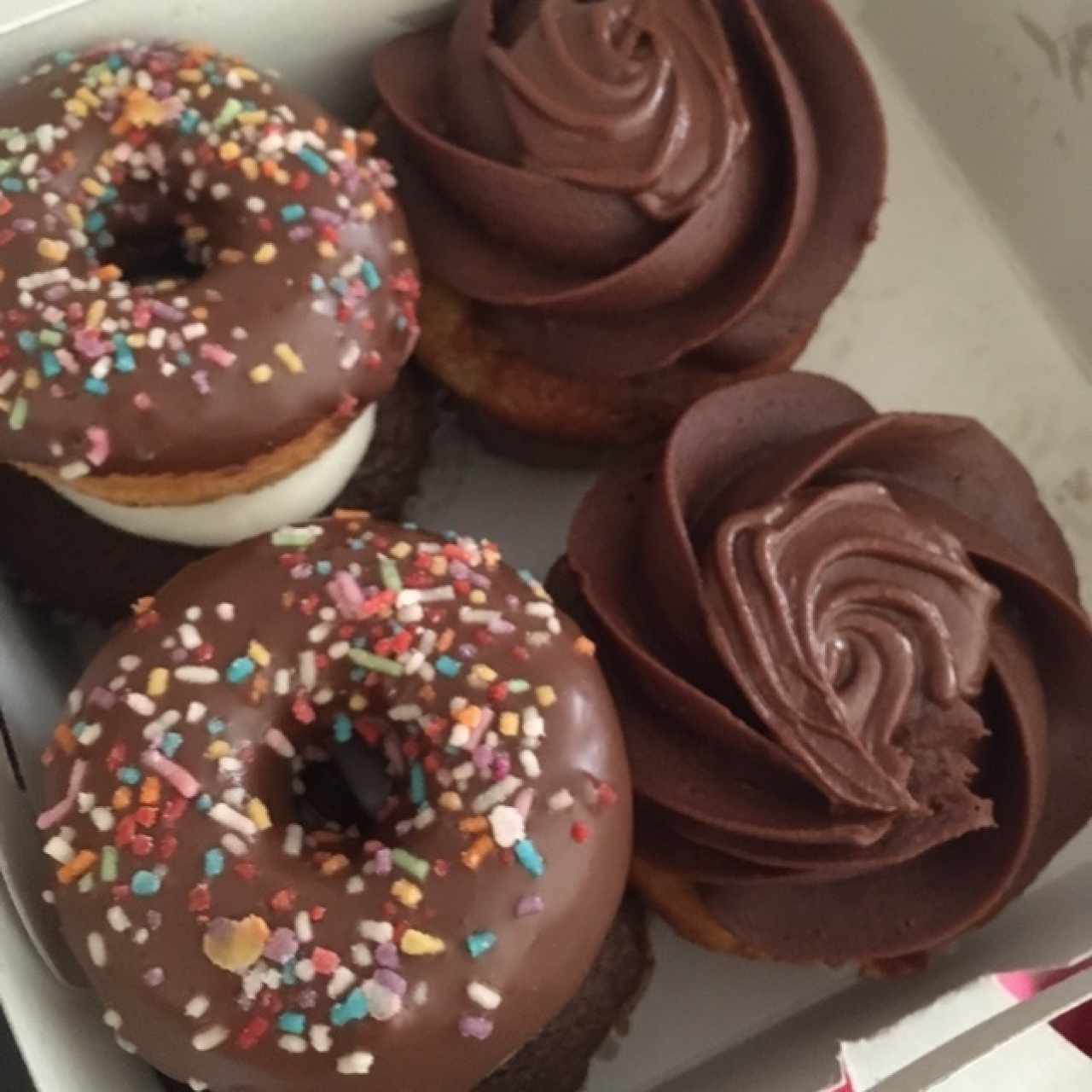 cupcakes chocolate