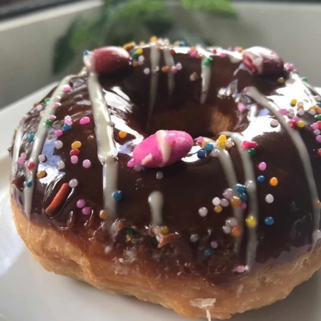 rosquilla 