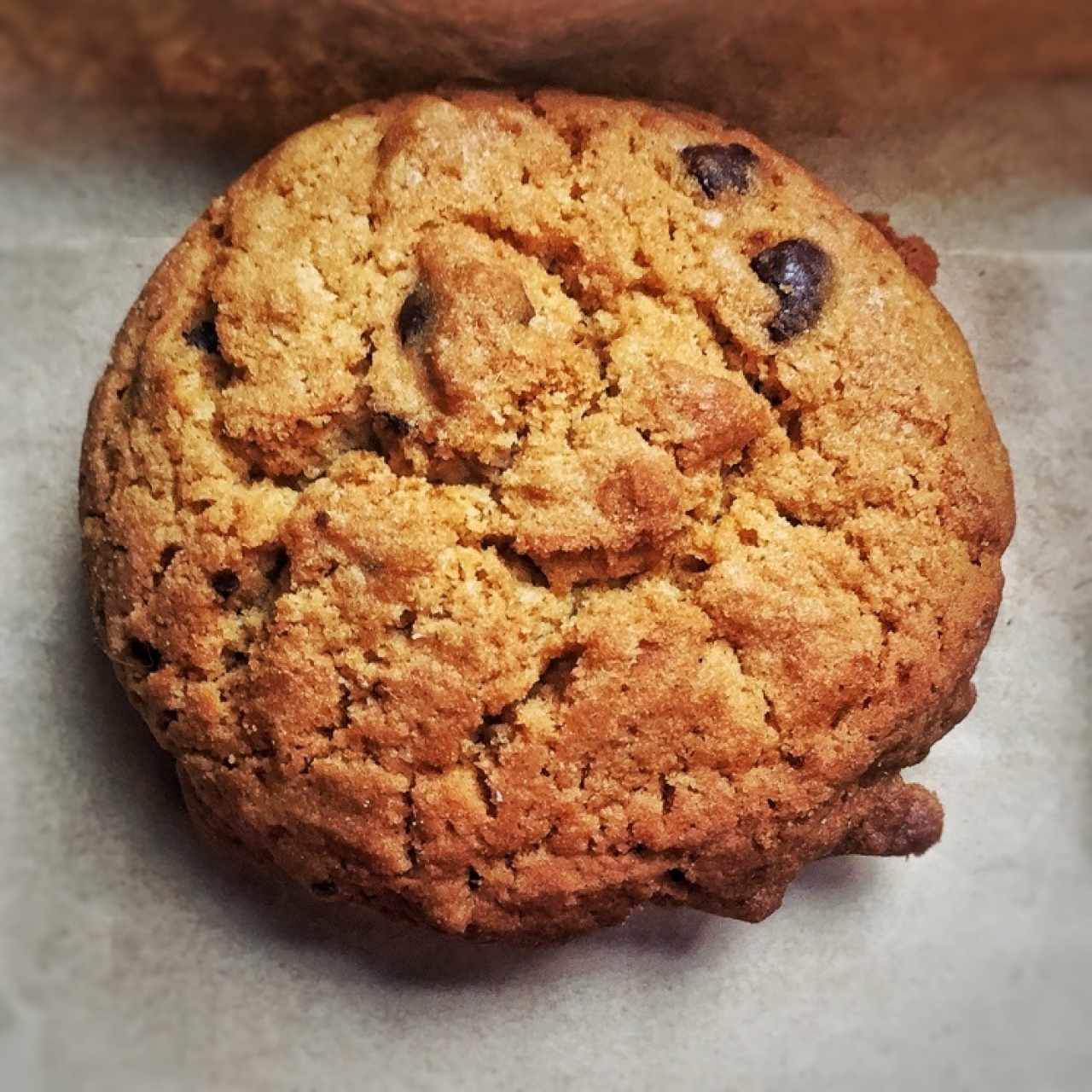 galleta de chocolate