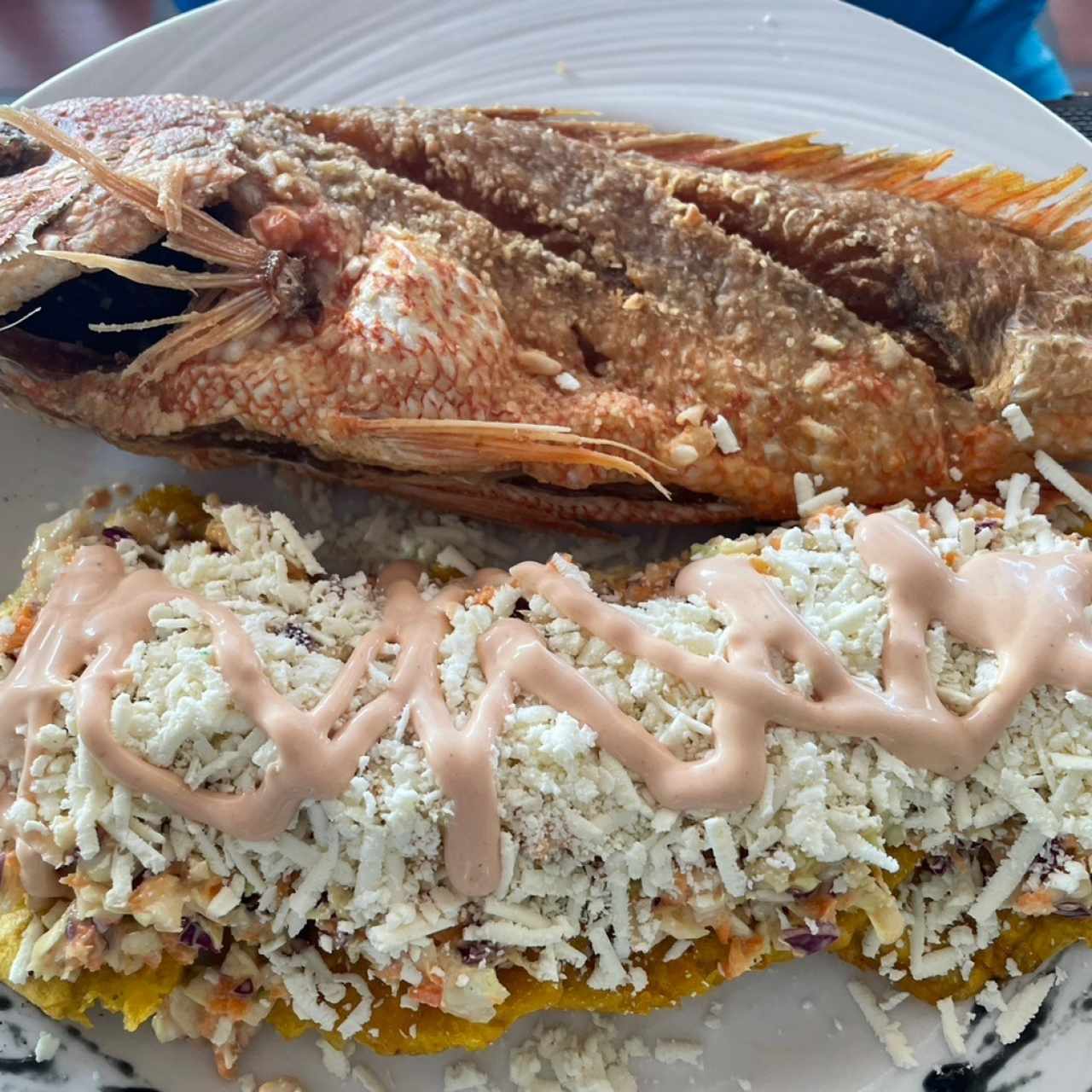 Pescado frito 