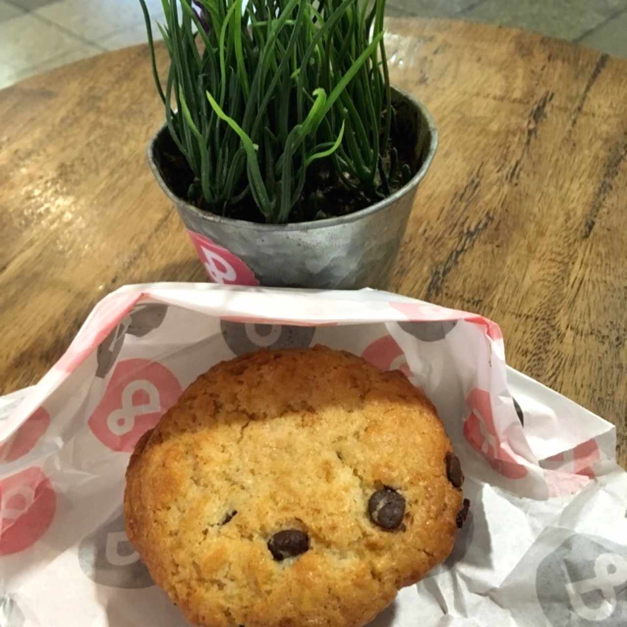 Muffin Vainilla y Chispas de Chocolate! Excelente!