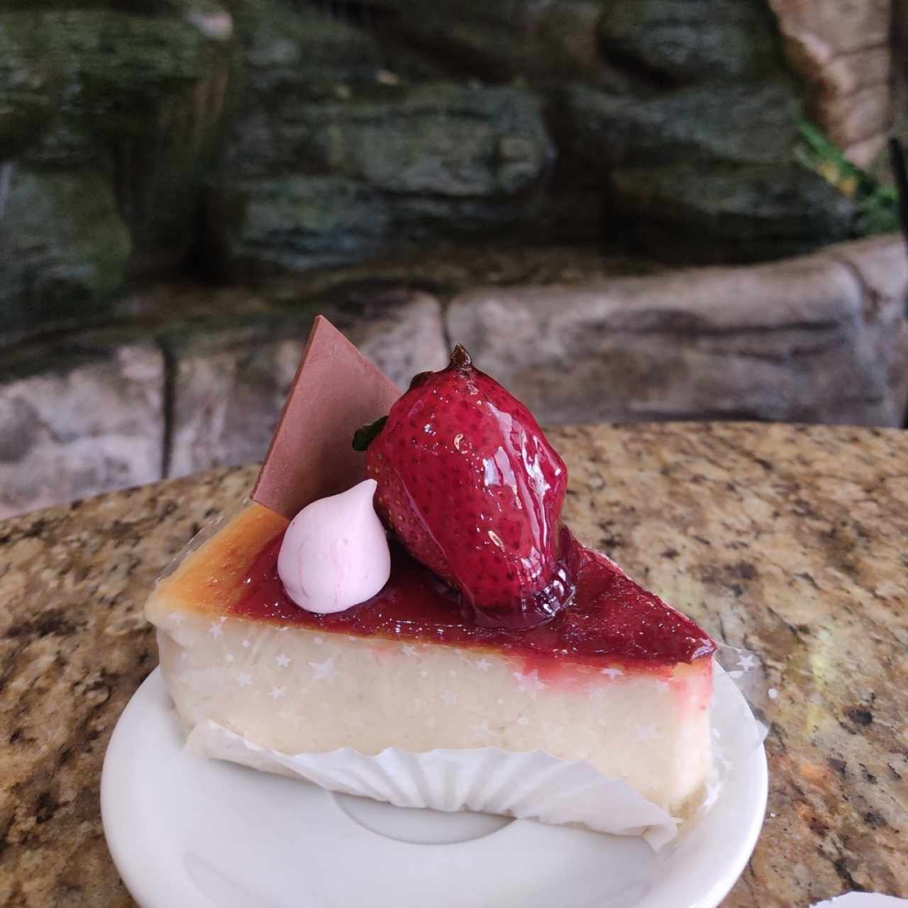 cheesecake 