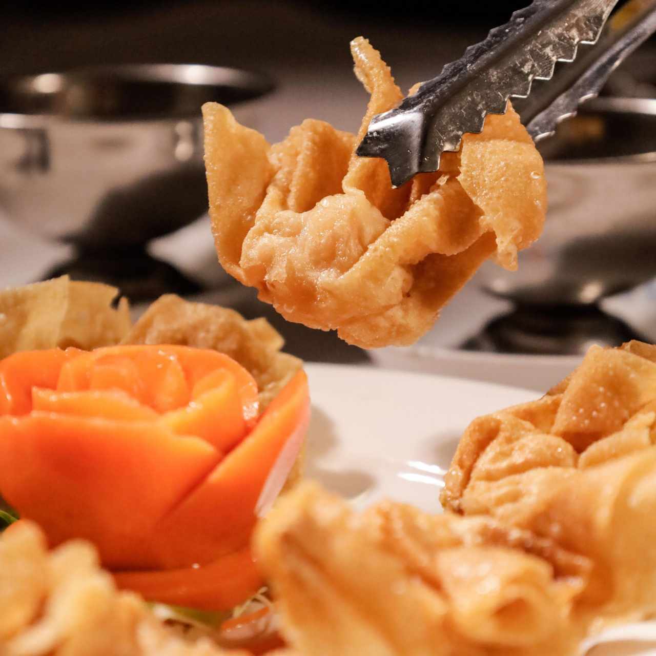 WANTON FRITO SIN RELLENO (8)