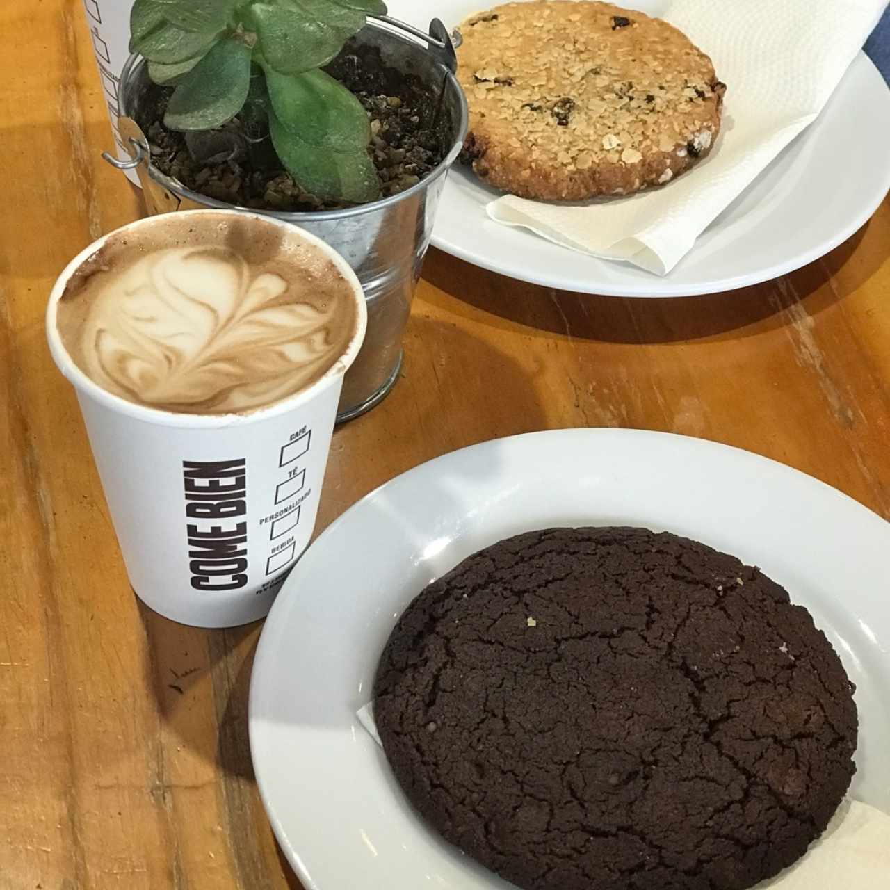 Galleta de chocolate y de avena