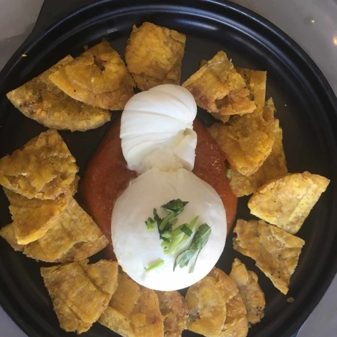 Burrata apureña