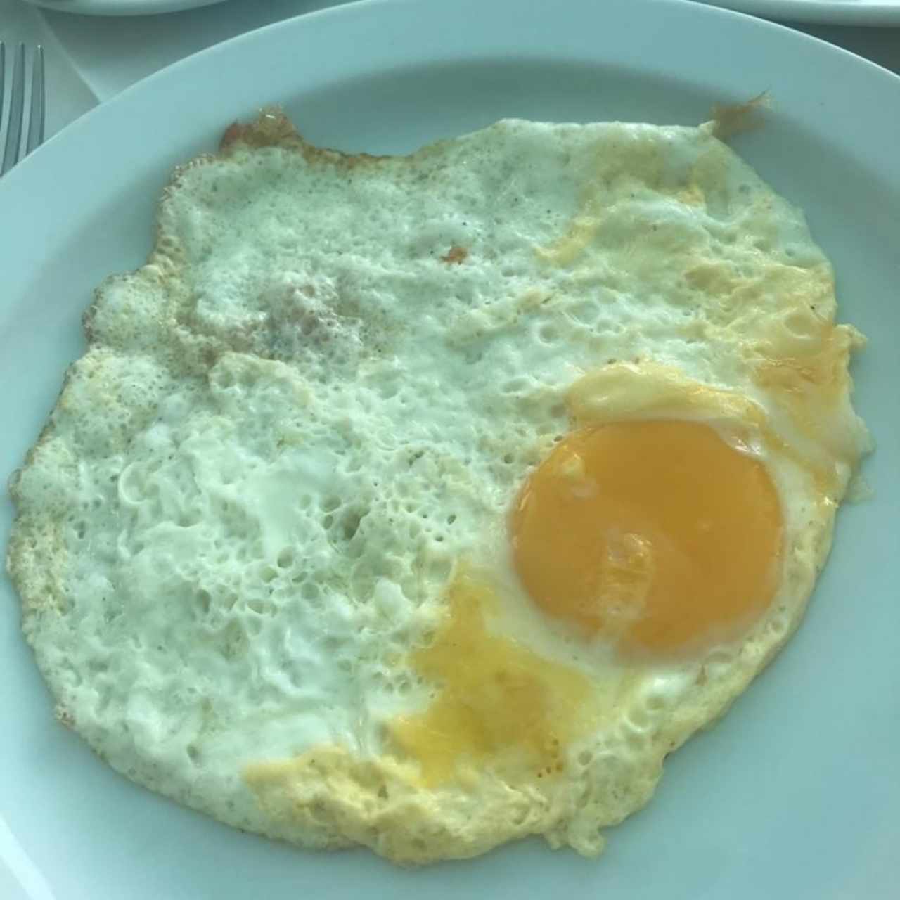 Huevo Frito, Muy Bueno