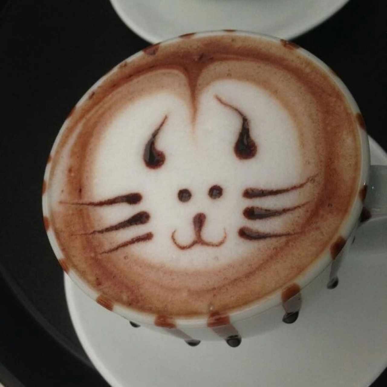 Cioccolato 