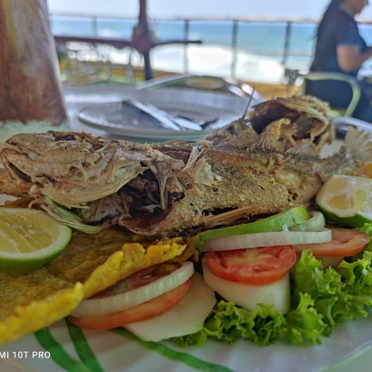 Roncador Frito con tostón y ensalada 