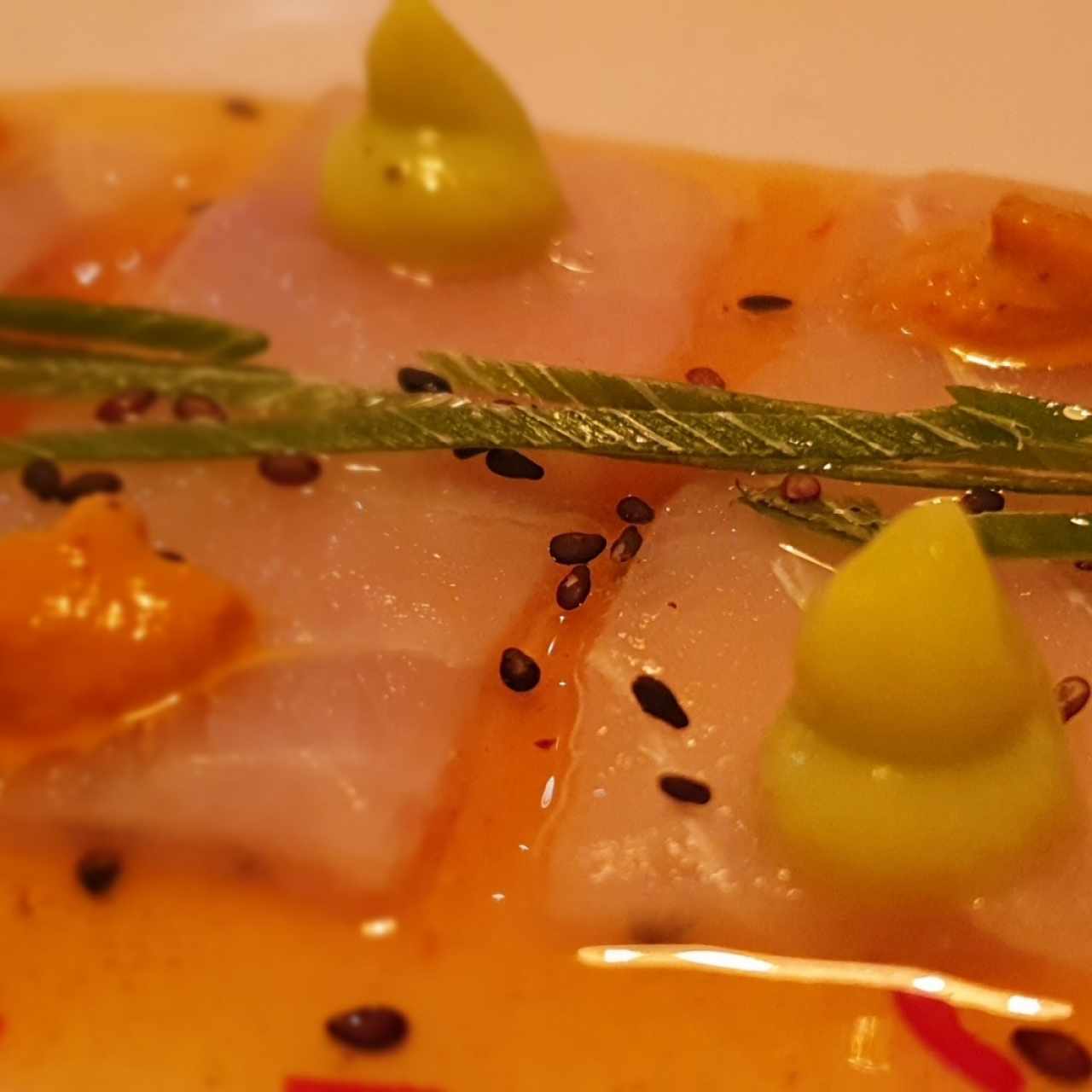 tiradito criollo