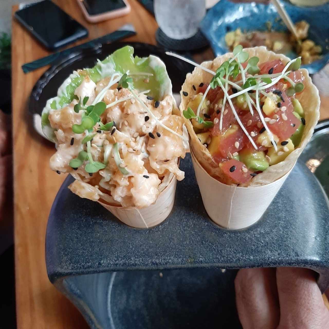 Barquillas de atún y salmón 