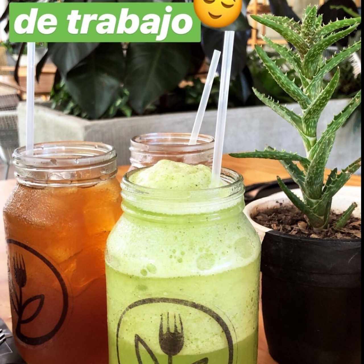 Limonada con hierbabuena y Jugo de papelón
