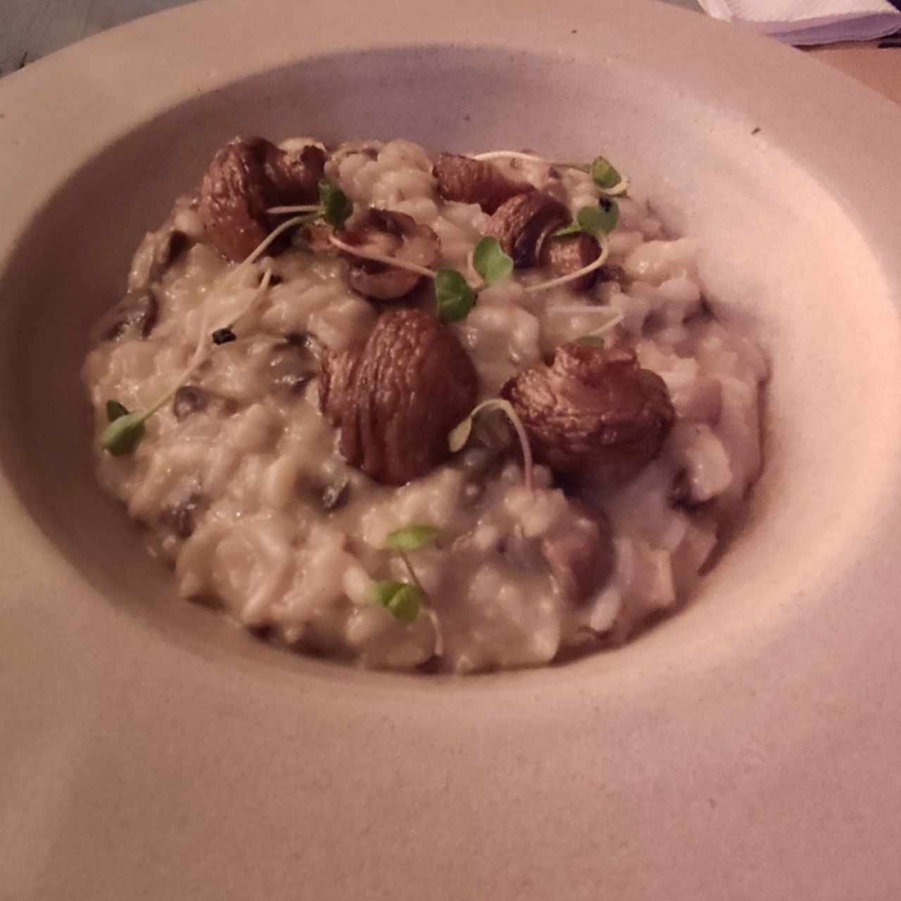 Risotto de hongos