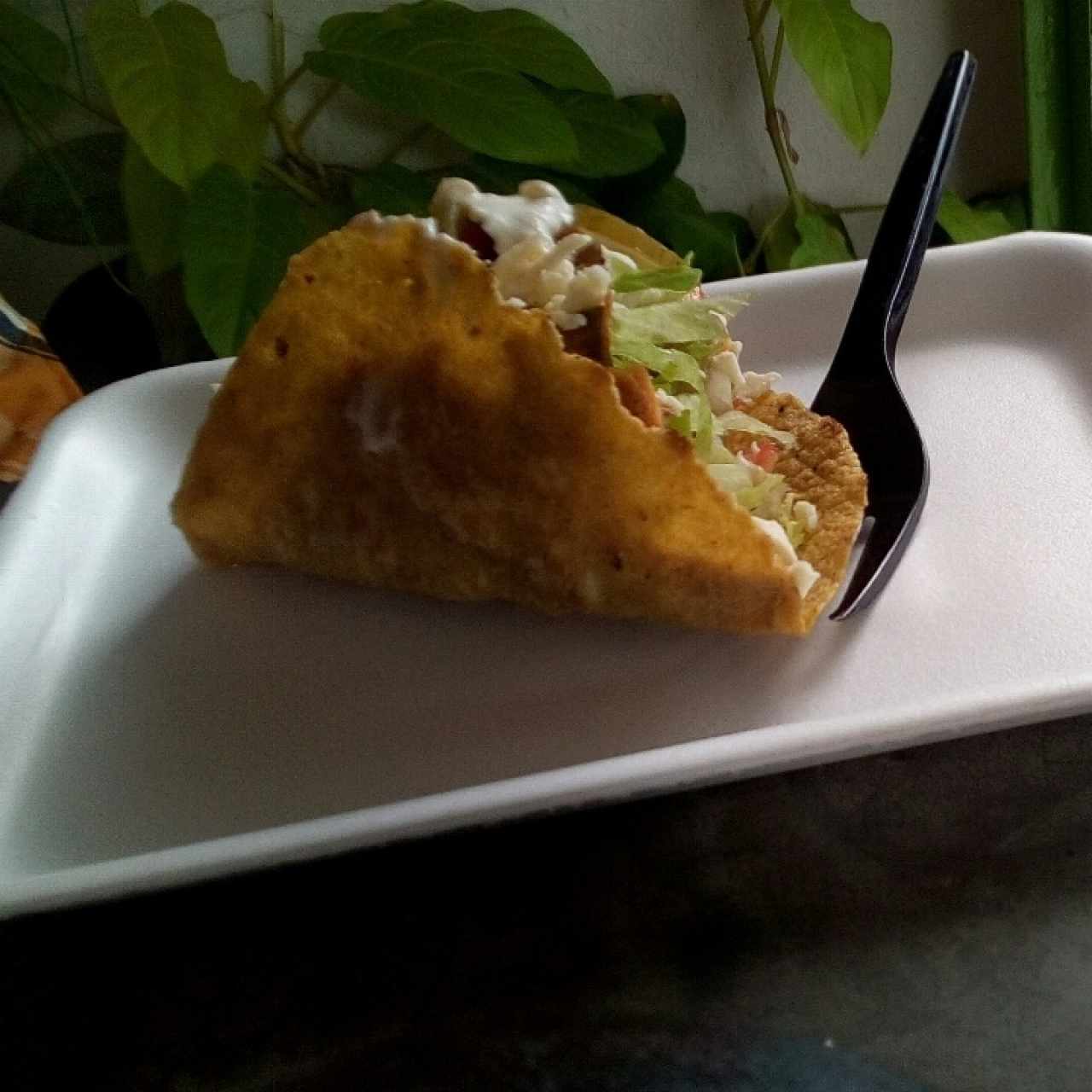 Taco tradicional de pollo guisado
