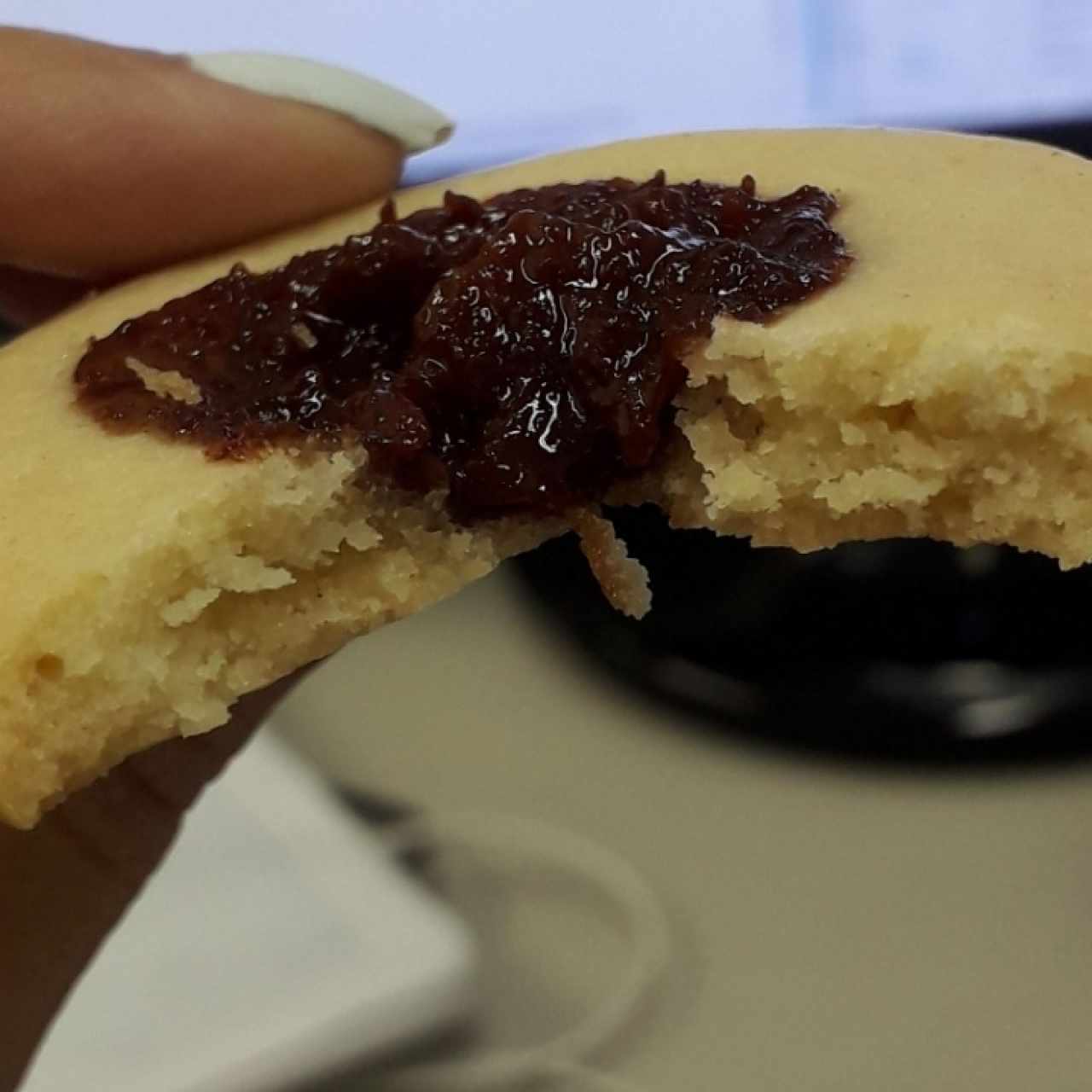Galleta de Guayaba 