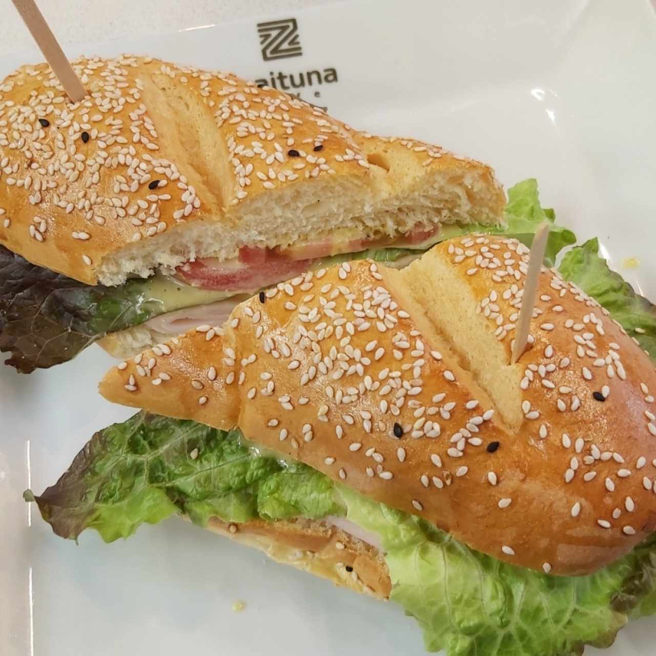 Panini de Pavo