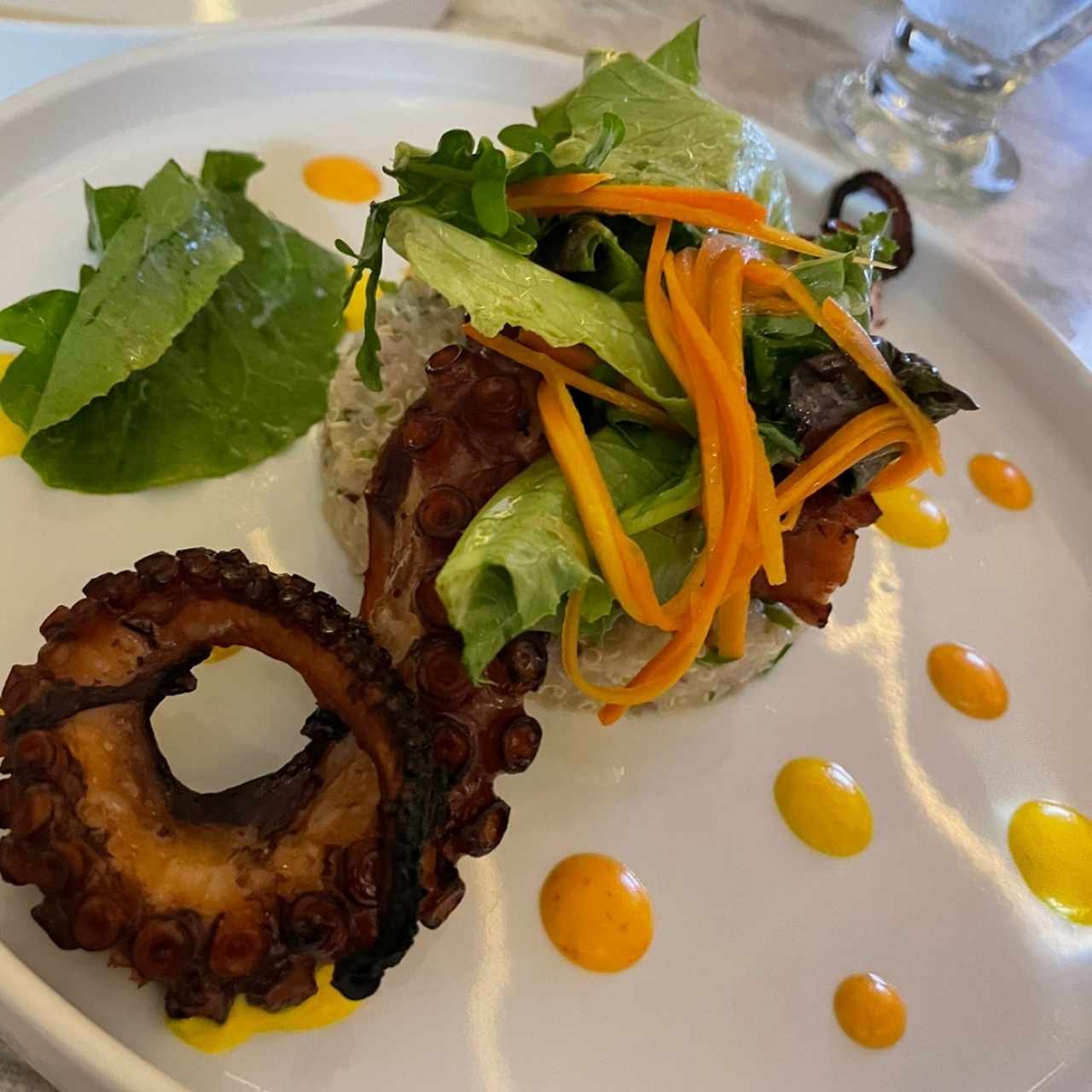 Ensalada de Pulpo al Grill