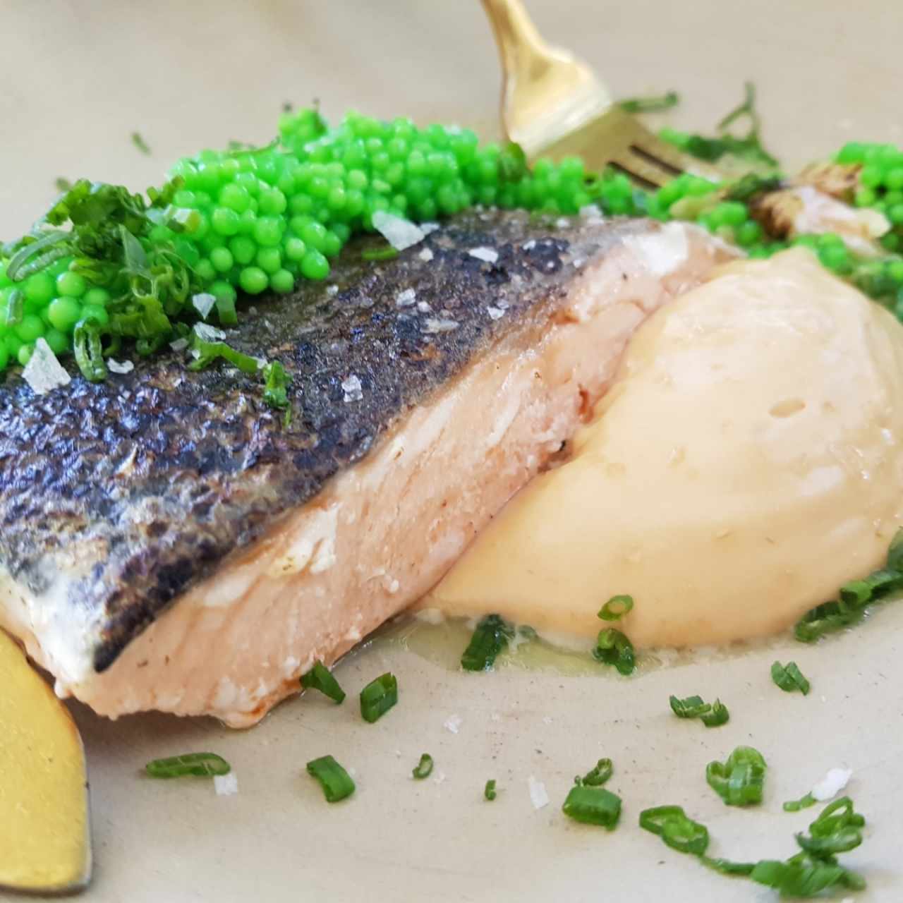 Salmón