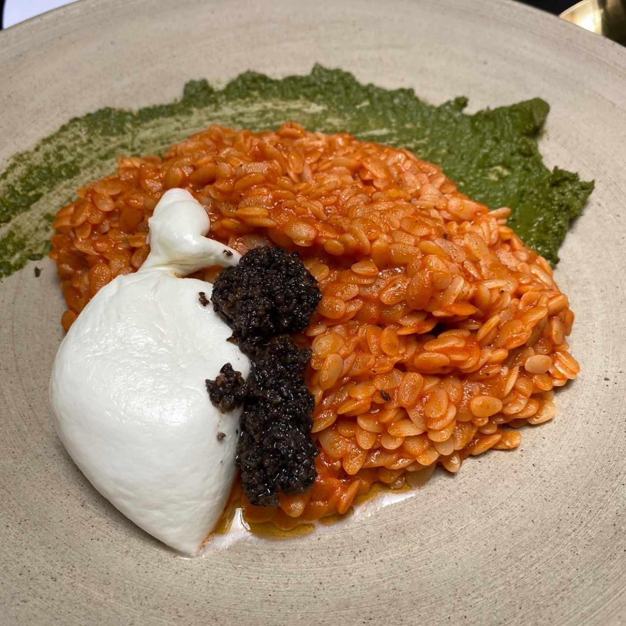 Risotto di Ristrerro
